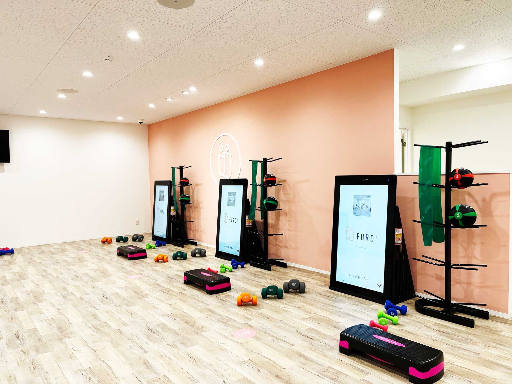 ダンベル・ボール・バンド等さまざまなトレーニングアイテムを使ったマシンに触れないパーソナルトレーニング