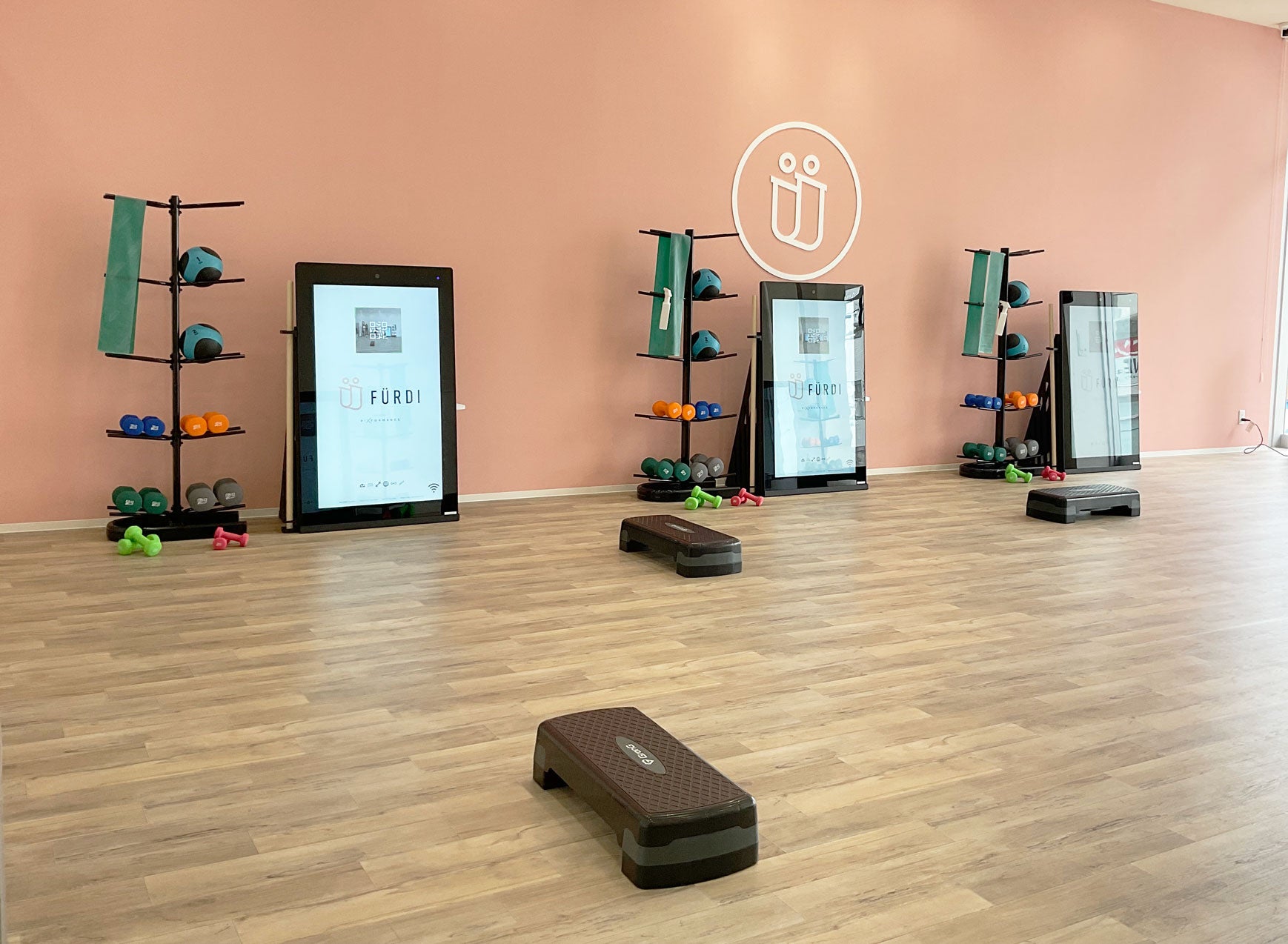 ダンベル・ボール・バンド等さまざまなトレーニングアイテムを使ったマシンに触れないパーソナルトレーニング