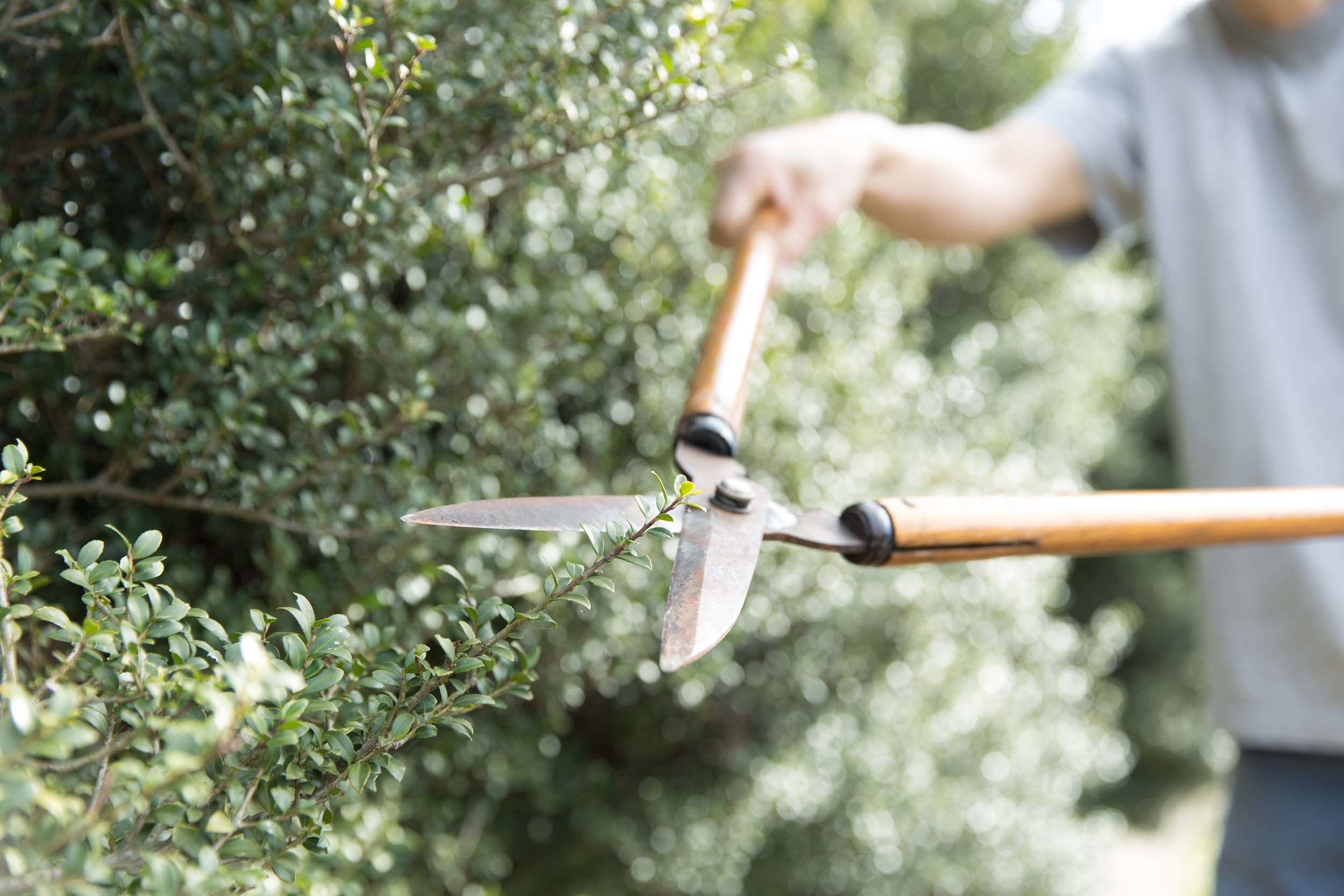 便利屋の制作実績、二人三脚のサポート体制、最短2週間で納品可能なスピード感がお客様から支持されています。