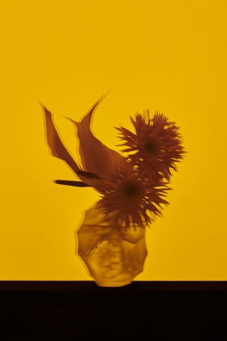 IKEDORIの展示「生映」がBnA STUDIO Akihabaraで開催!華道家と写真家のクリエイティブユニットが新作5点を展示 IKEDORIの展示「生映」がBnA STUDIO Akihabaraで開催!華道家と写真家のクリエイティブユニットが新作5点を展示