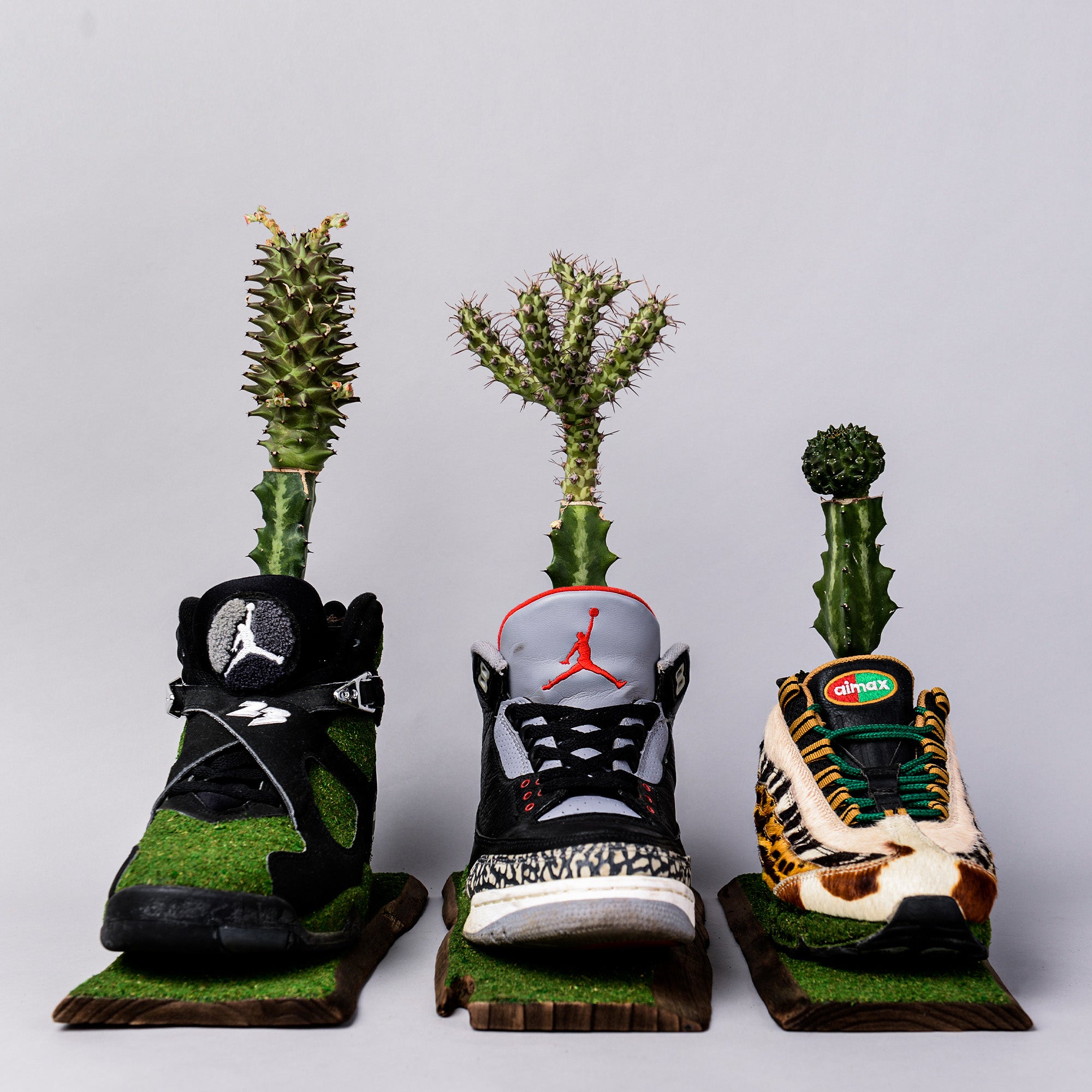 サステナビリティ”をテーマに恵比寿ガーデンプレイス全域で開催される