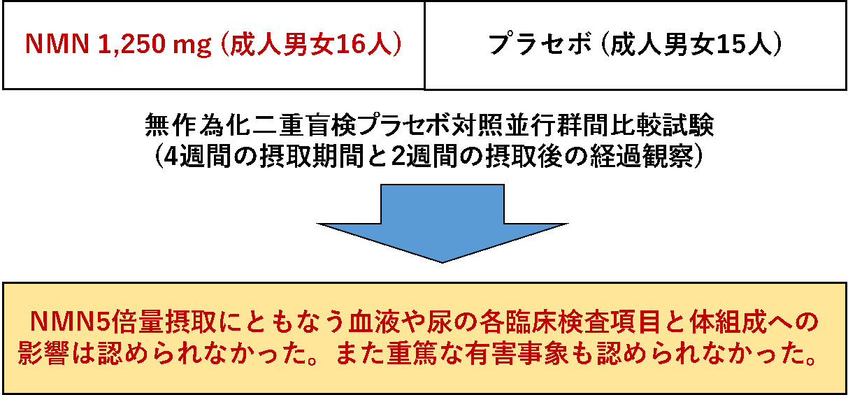 図1　NMNの５倍量摂取時の安全性評価