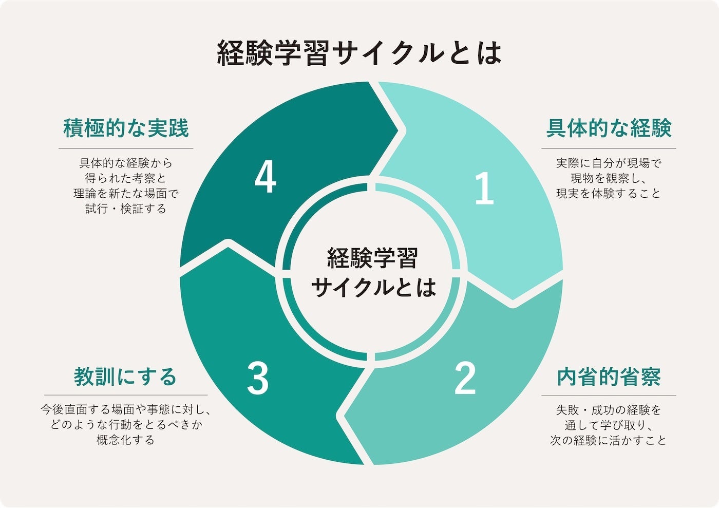 △米国の教育理論家デイビッド・A・コルブが提唱する「経験学習サイクル