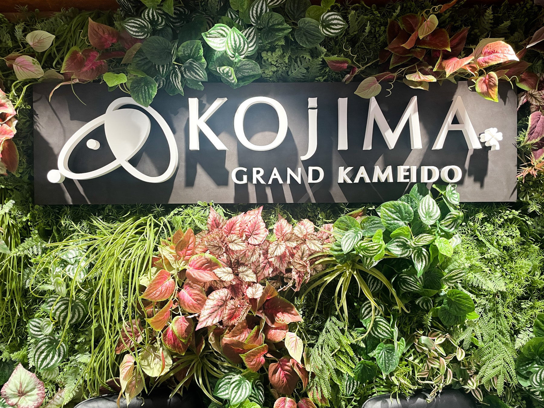 ペットの総合専門店コジマ コジマ唯一の小動物専門館 グラン亀戸小動物館が4月29日にオープン 株式会社コジマのプレスリリース ペットの総合専門店コジマ コジマ唯一の小動物専門館 グラン亀戸小動物館が4月29日にオープン 株式会社コジマのプレスリリース