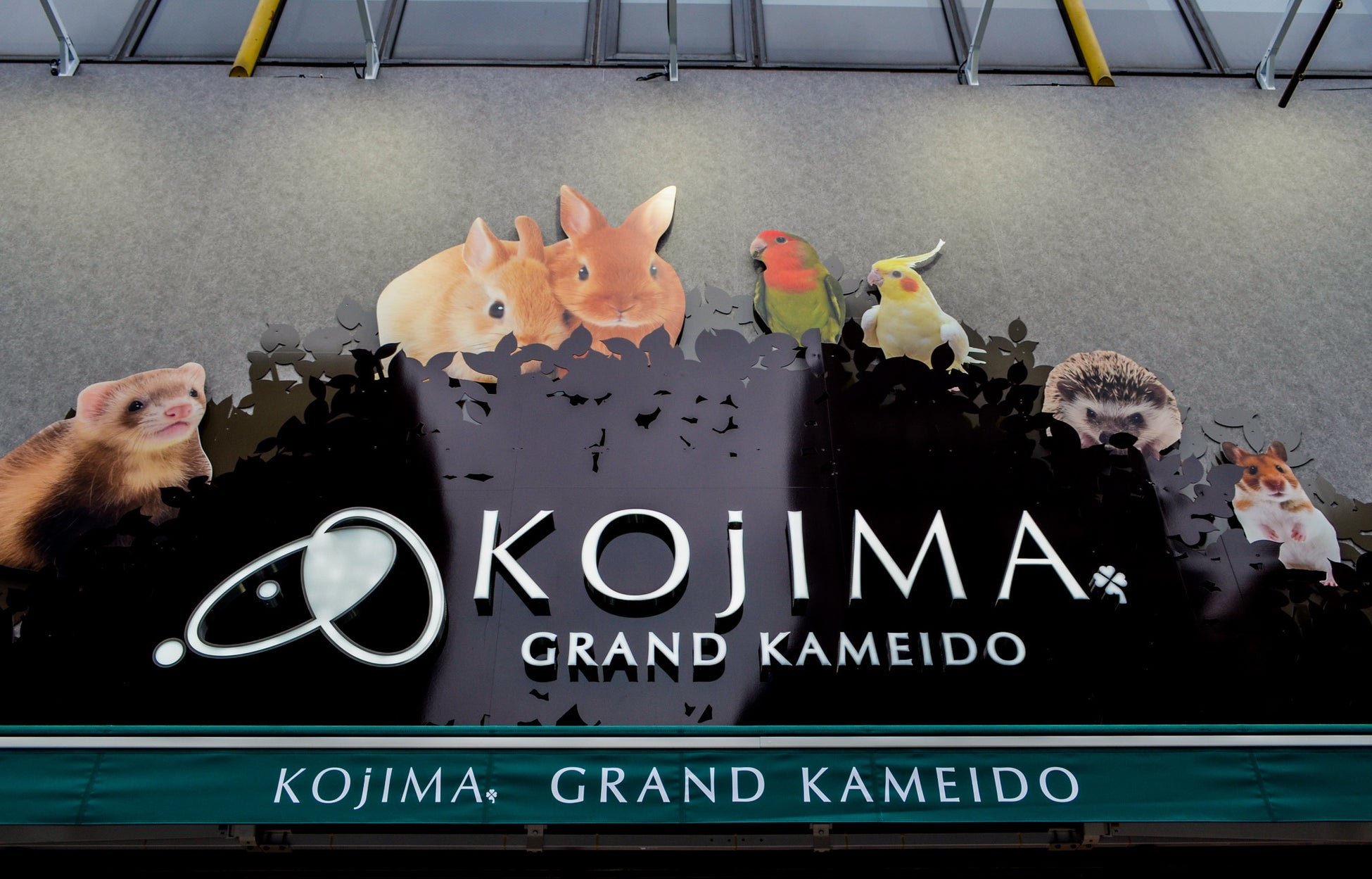ペットの総合専門店コジマ コジマ唯一の小動物専門館 グラン亀戸小動物館が4月29日にオープン 株式会社コジマのプレスリリース ペットの総合専門店コジマ コジマ唯一の小動物専門館 グラン亀戸小動物館が4月29日にオープン 株式会社コジマのプレスリリース