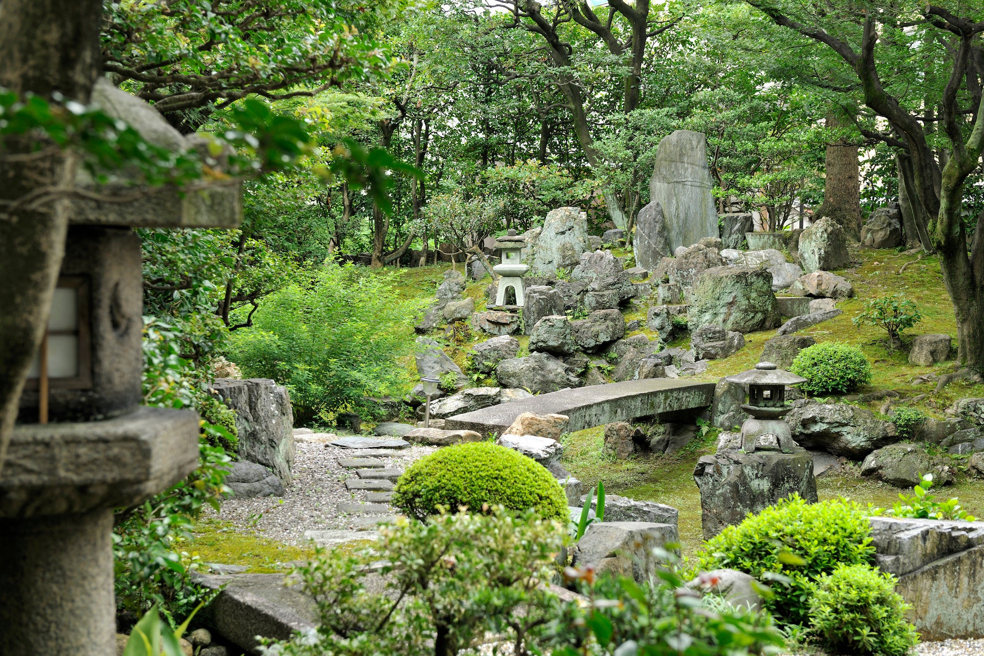 【京都市指定・登録文化財】庭園