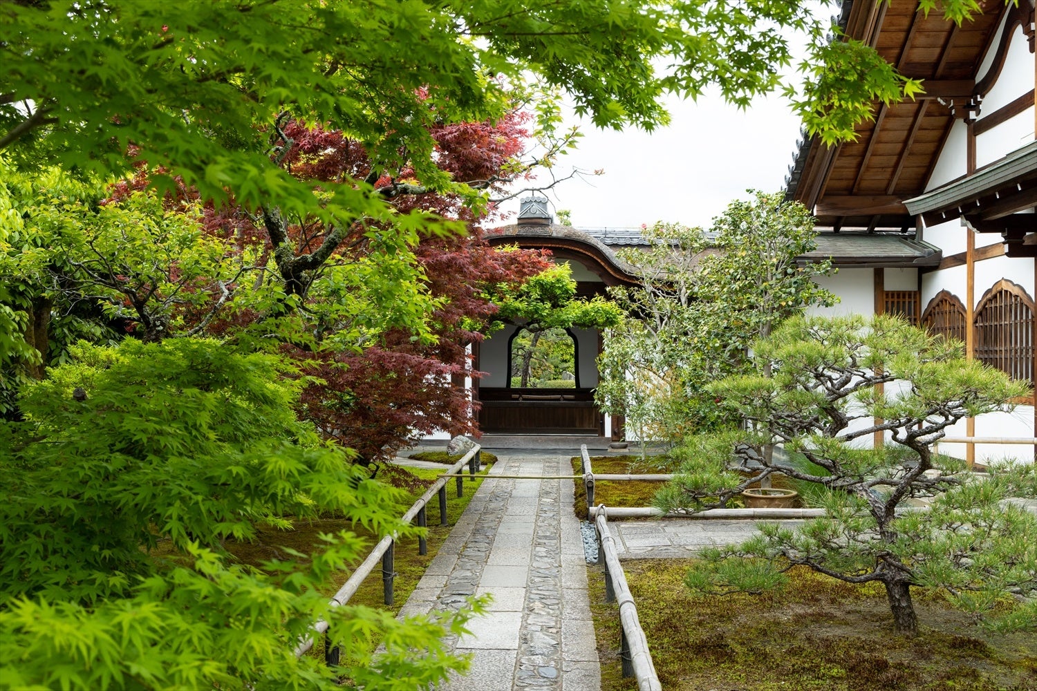 興臨院【重要文化財】唐門