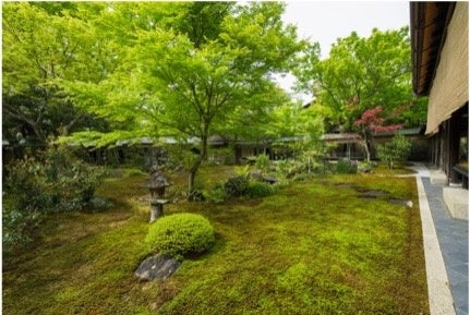 千利休作庭「直中庭」