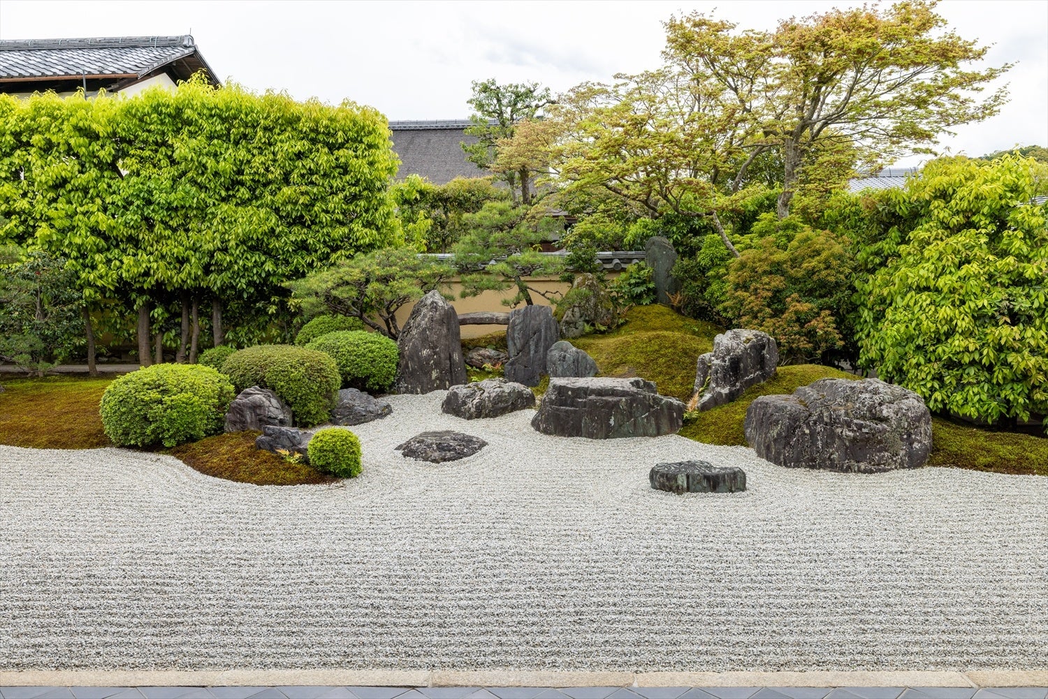 掛軸 本来無一物 大徳寺塔頭 興臨院 萬拙 2025年最新】道 前大徳寺の人気アイテム - メルカリ