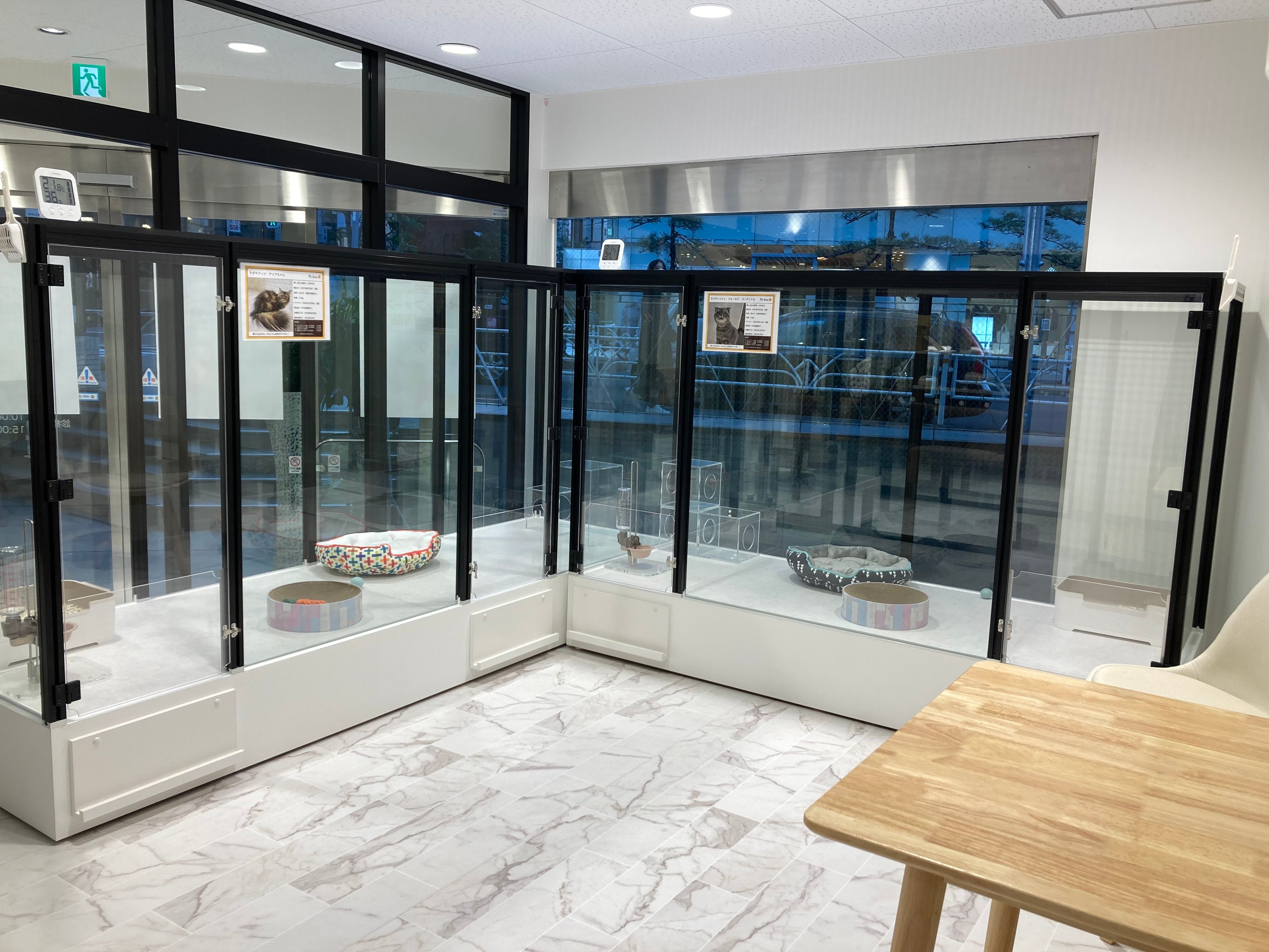 アダプションエリア