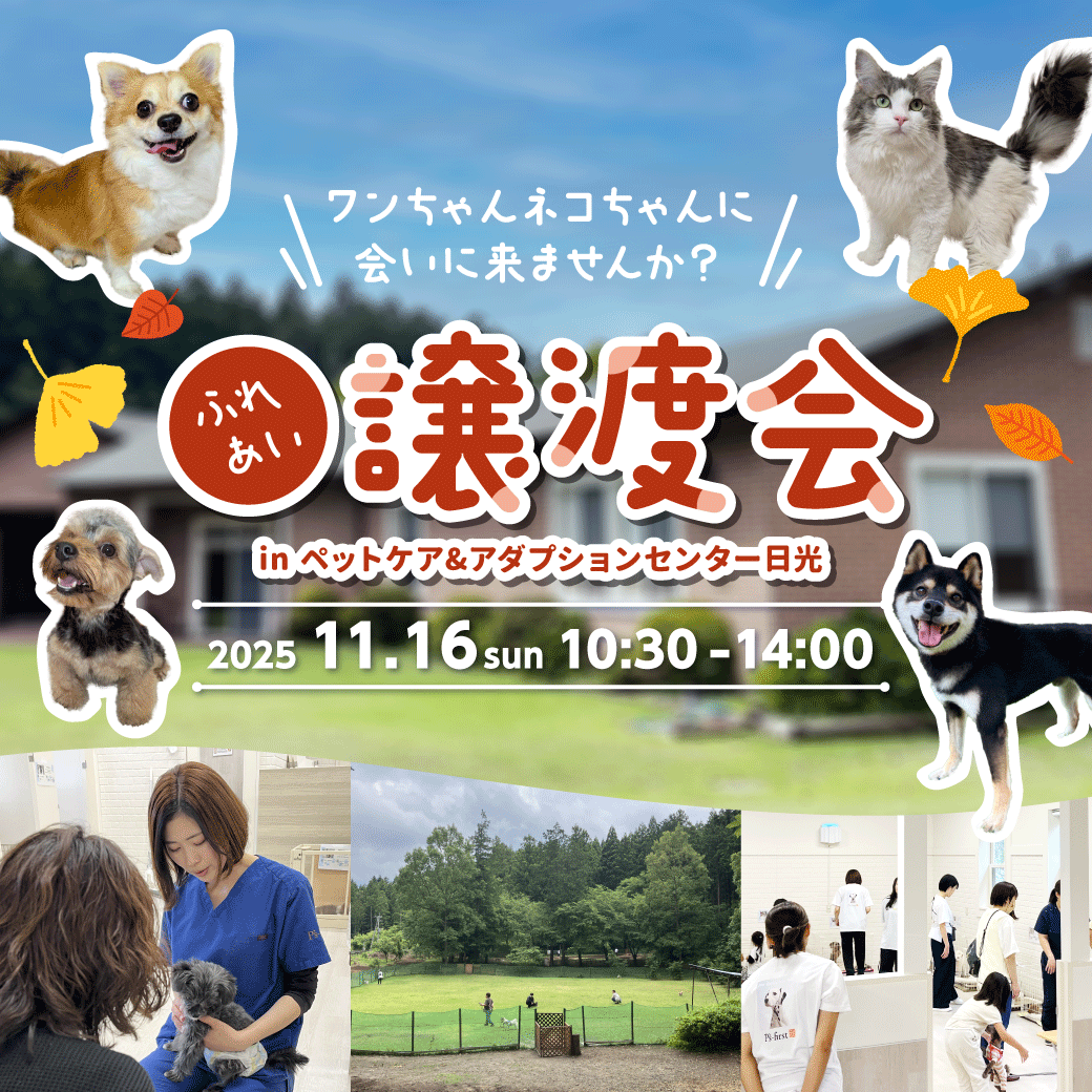 2025年11月16日（日）ペッツファーストグループ「ふれあい譲渡会」開催