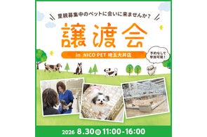 ペッツファースト 猫の健康な体づくりに役立つサプリメントを共同開発 ペッツファースト 猫の健康な体づくりに役立つサプリメントを共同開発