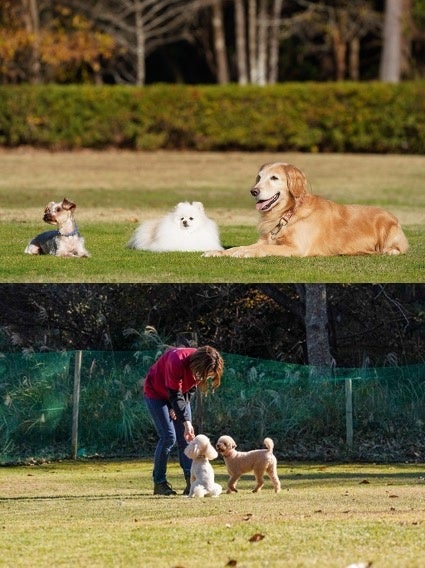 ペットケアセンター日光