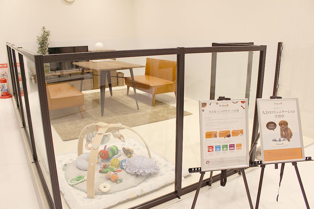 社会化スペース