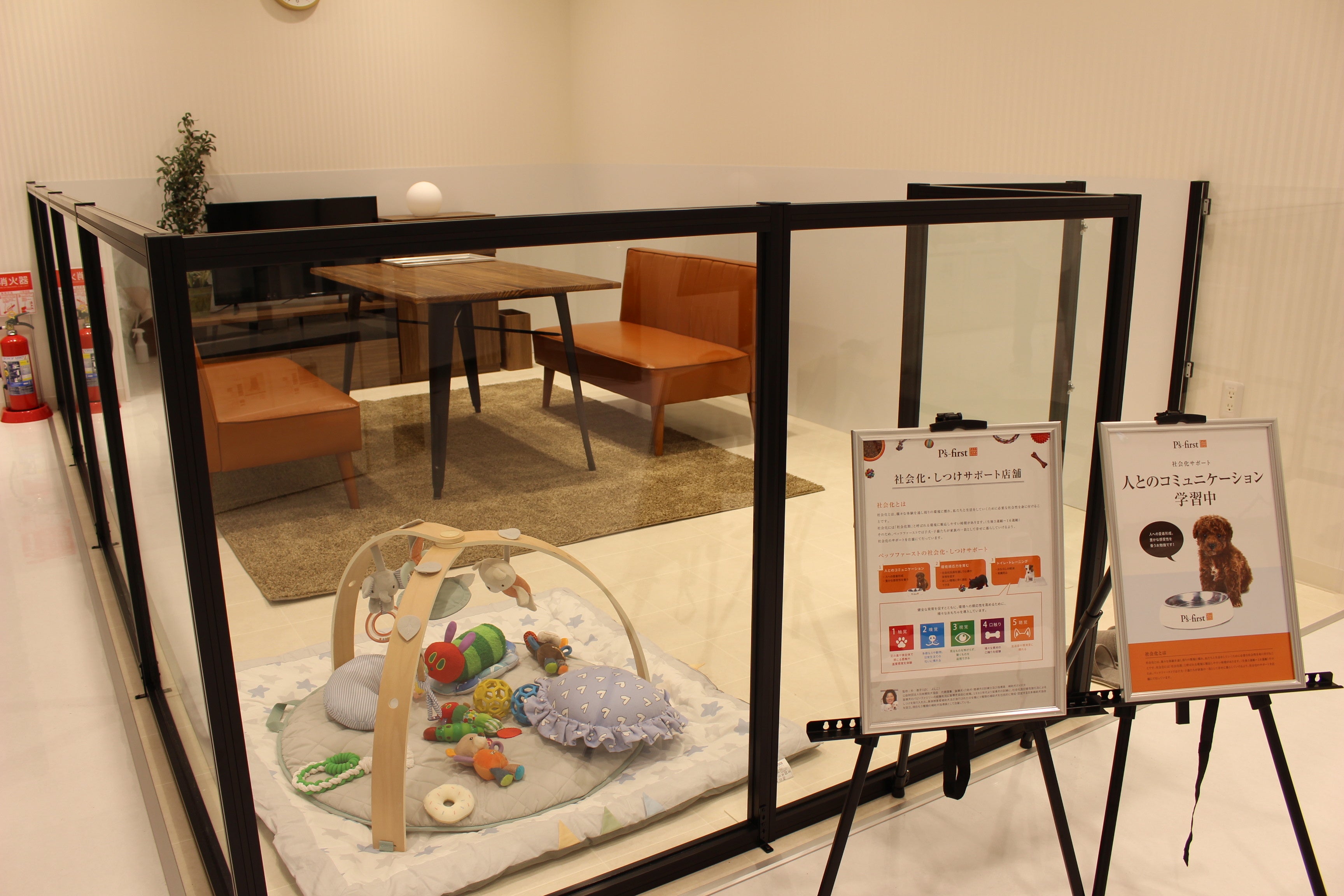 社会化スペース