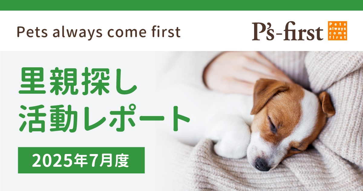 ペッツファーストオリジナルキャットサークルを販売開始 | ペッツ