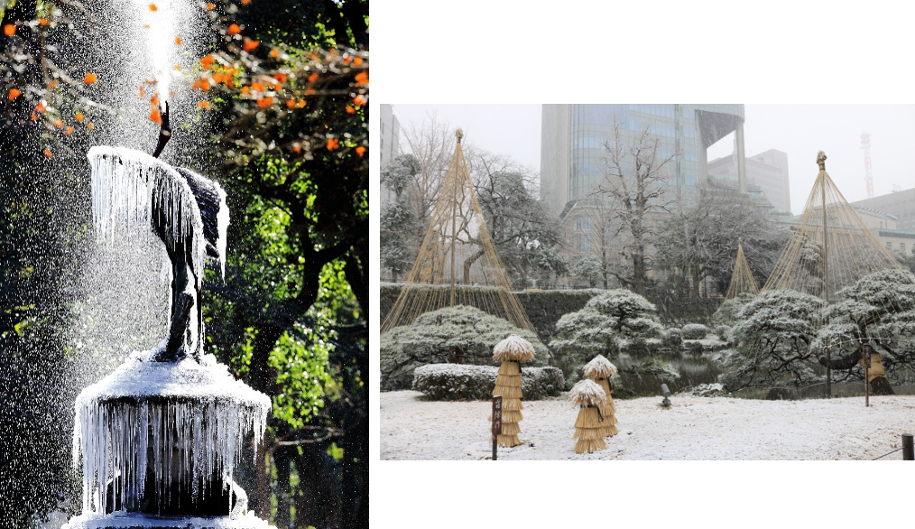 鶴のつらら／日比谷公園雪つり  (写真左：東京大回廊写真コンテスト受賞作品 羽田修「輝きは一瞬」)