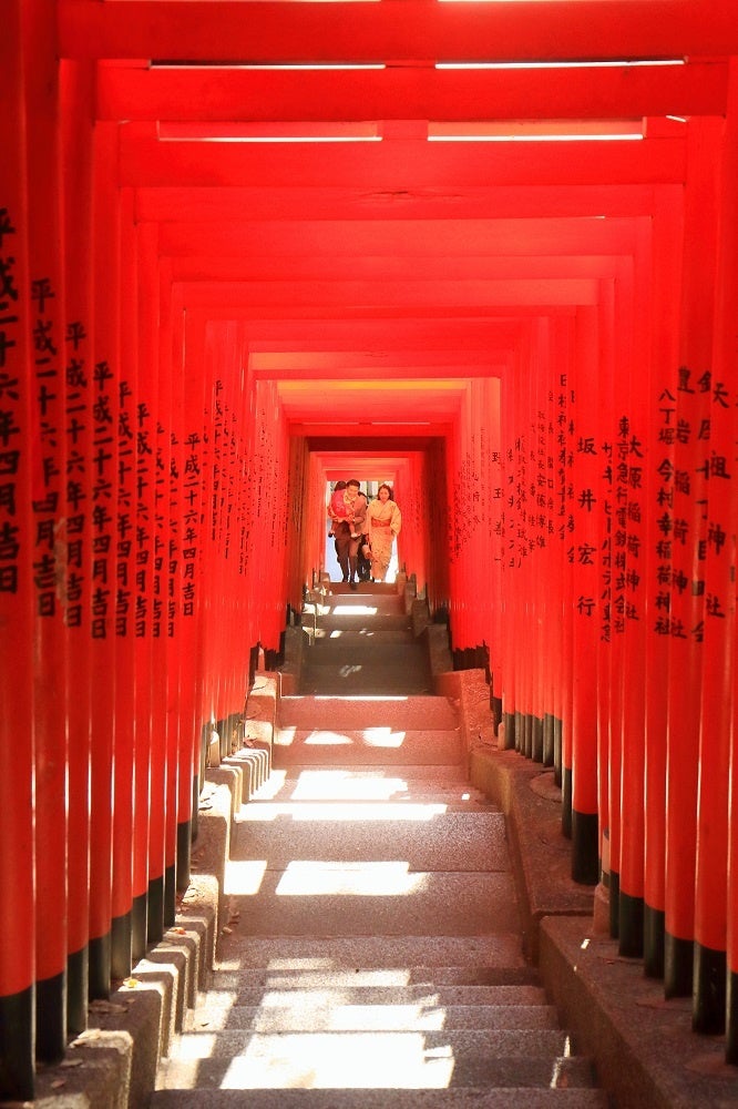 日本の秋・厳選風景16年【 風景写真 9-10月号　2007〜2022年】16冊 風景写真2025年9・10月号 | ブティック社 |本 | 通販 | Amazon