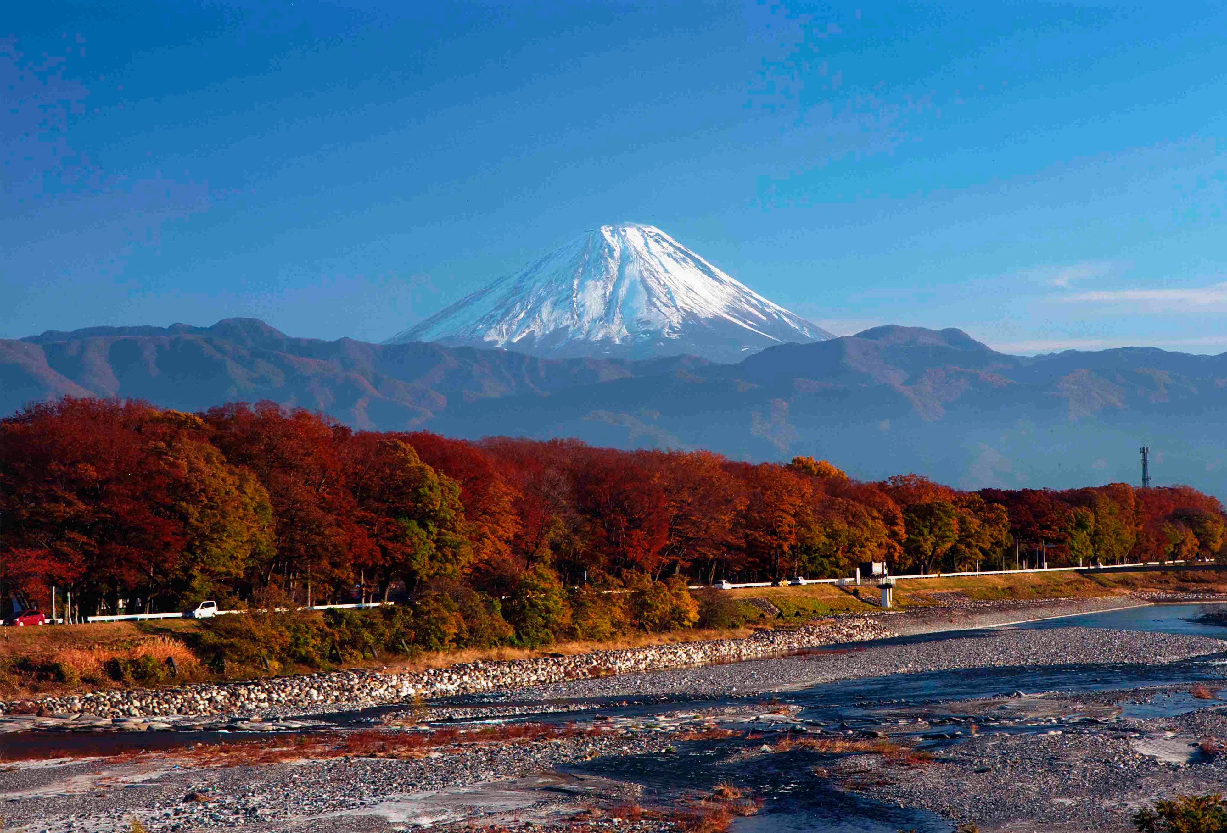 晩秋の信玄堤／提供：甲斐市 商工観光課