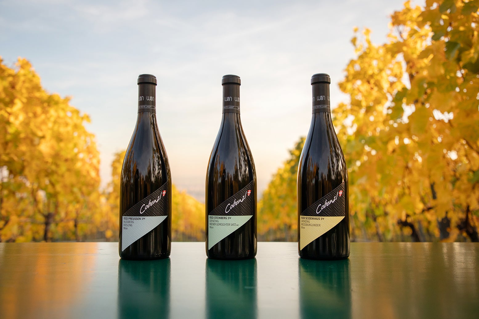 © Weingut Wien Cobenzl