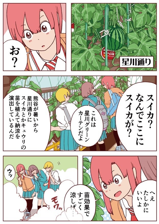 星川通り　空中スイカ