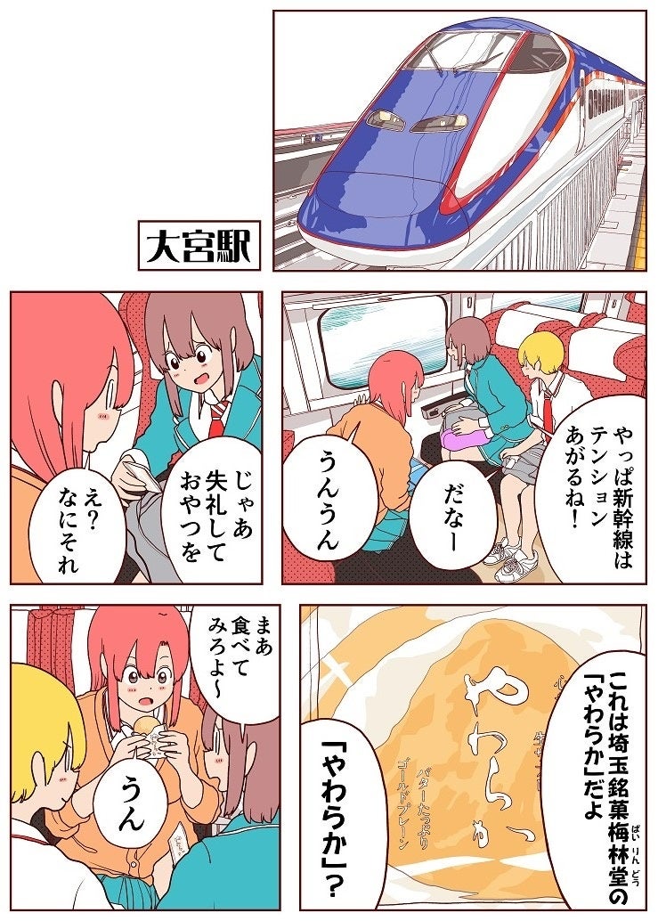 梅林堂「心やさしい埼玉のお菓子　やわらかゴールドプレーン」