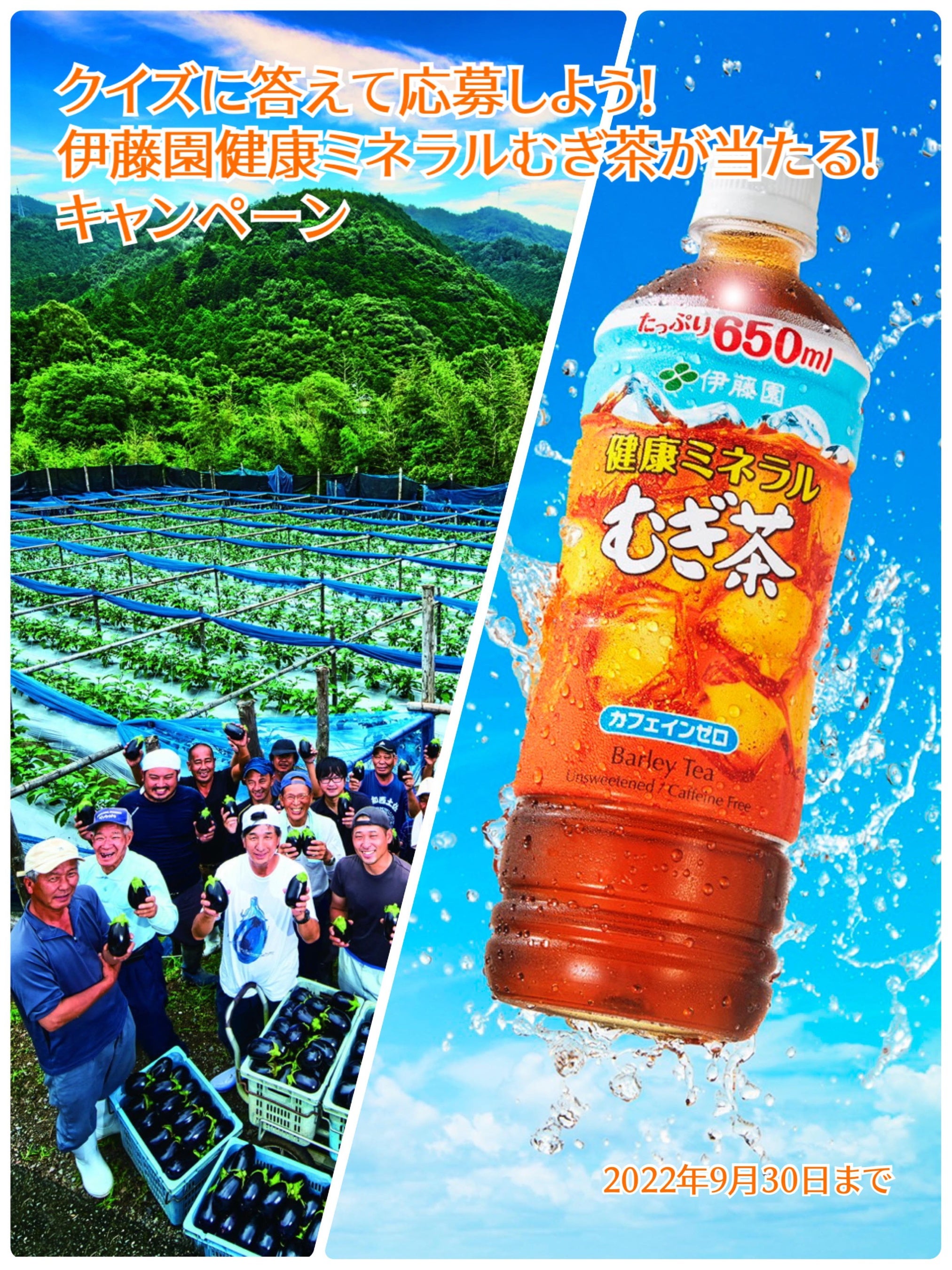 クイズに答えて応募しよう！