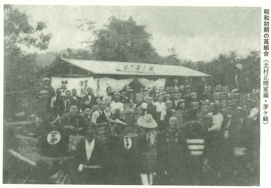 都田苺組合のラベル 近代　相澤雅雄氏蔵・写真提供