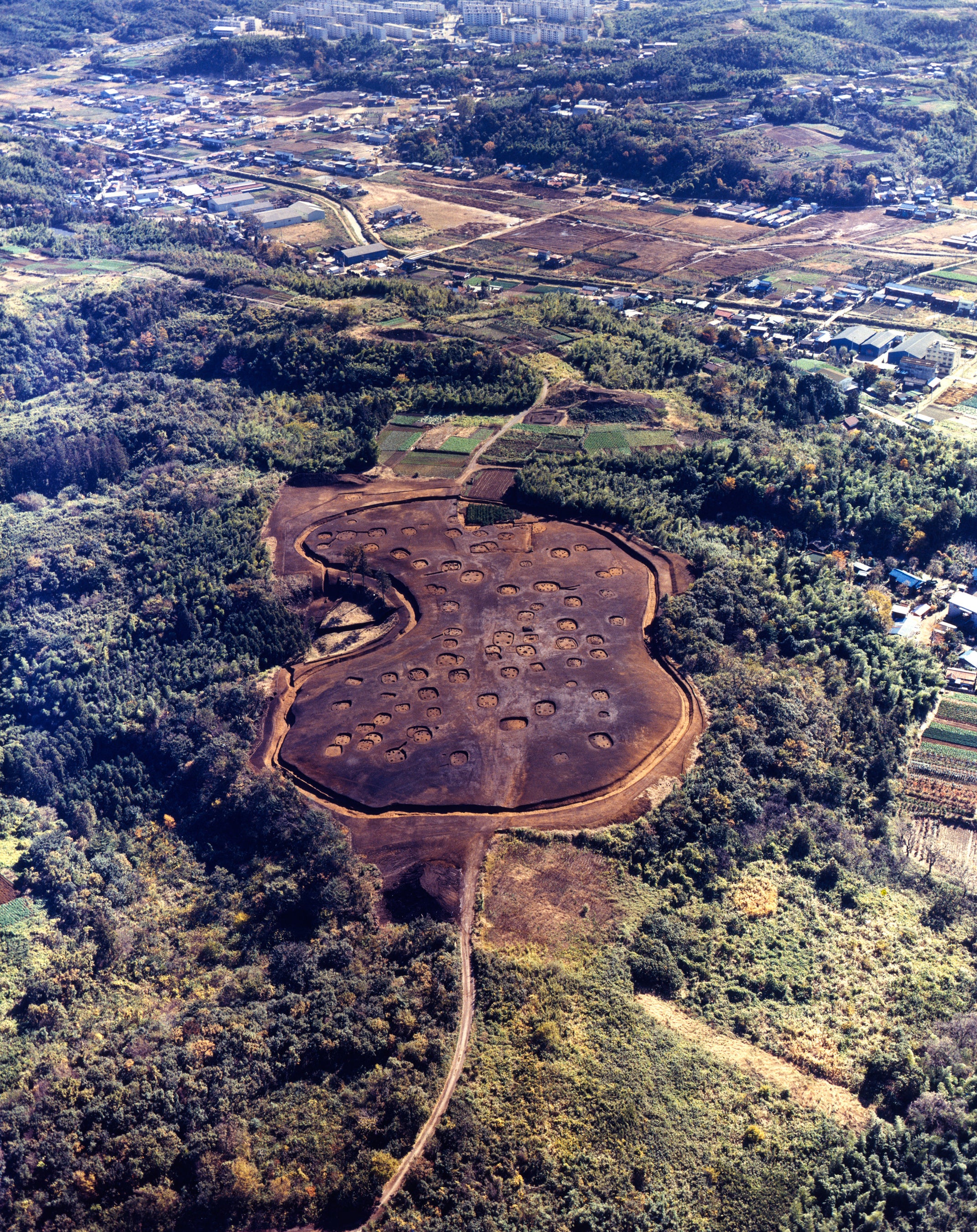 大塚遺跡全景