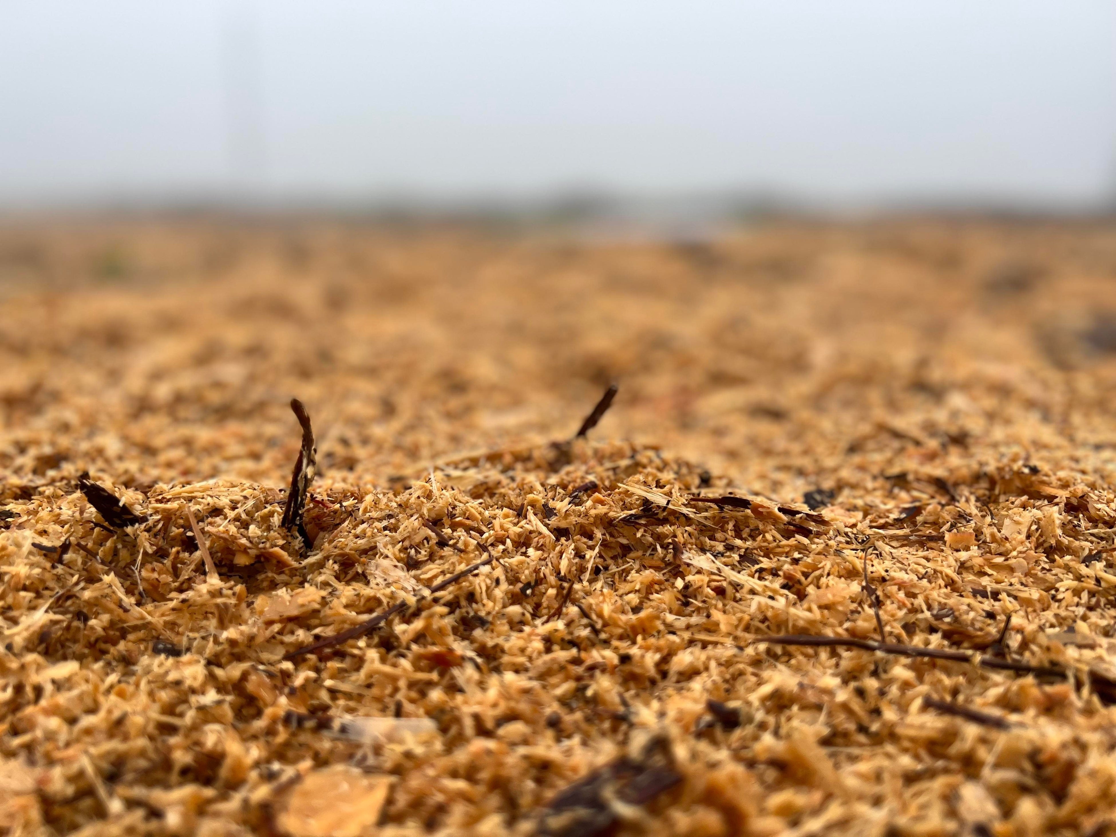 ウッドチップの路面