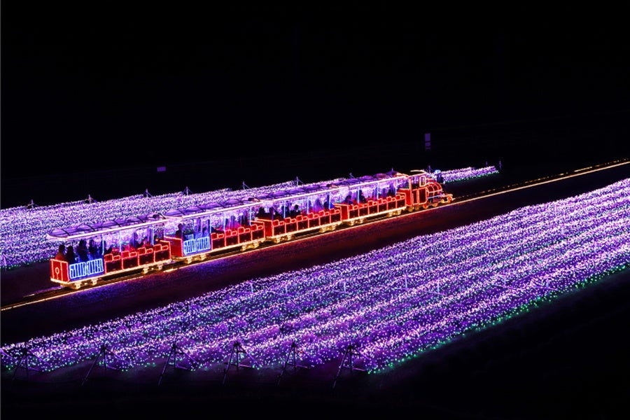 光るラベンダー畑