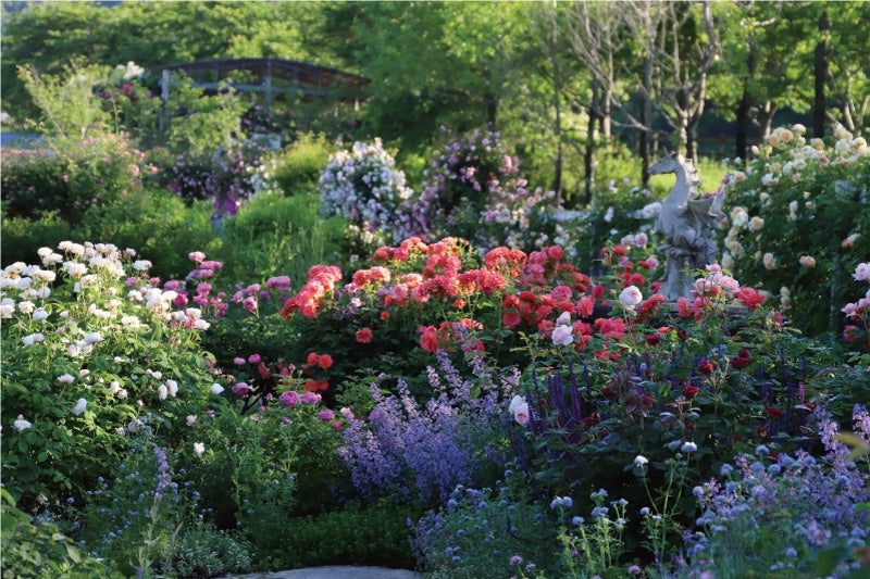 施設ビジュアル