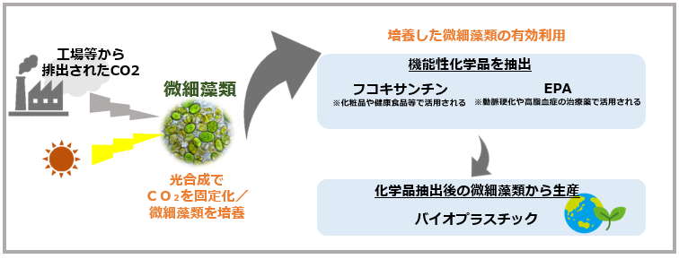 微細藻類によるCO2固定化プロジェクトがNEDO委託事業に採択 | 株式会社