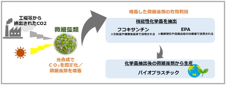 藻類を利用したカーボンリサイクル技術のイメージ図
