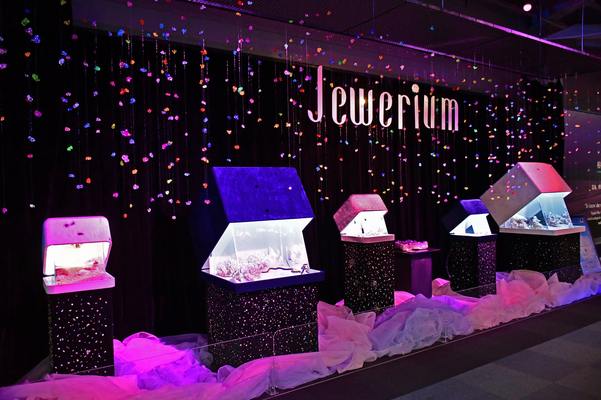 Jewerium 特別水槽 第二章 「彩って生きる」