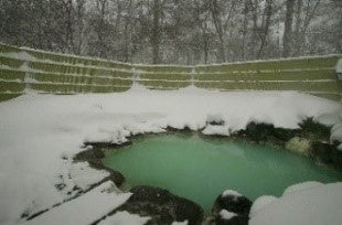 露天風呂「森乃精」（日光アストリアホテル）