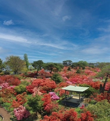 △つつじが岡公園（館林市）