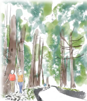 △地元地域主導で整備を進めている 史跡・二重並木（イメージ）