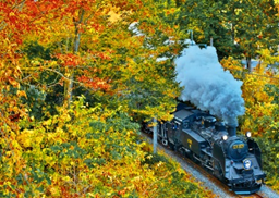 △鬼怒川線沿線を疾走するＳＬ大樹 