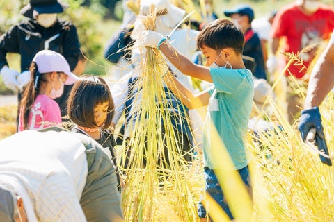 「遊び」を通して「学ぼう!」東武沿線子ども体験プログラムを開始します!