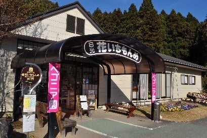 日光花いちもんめ