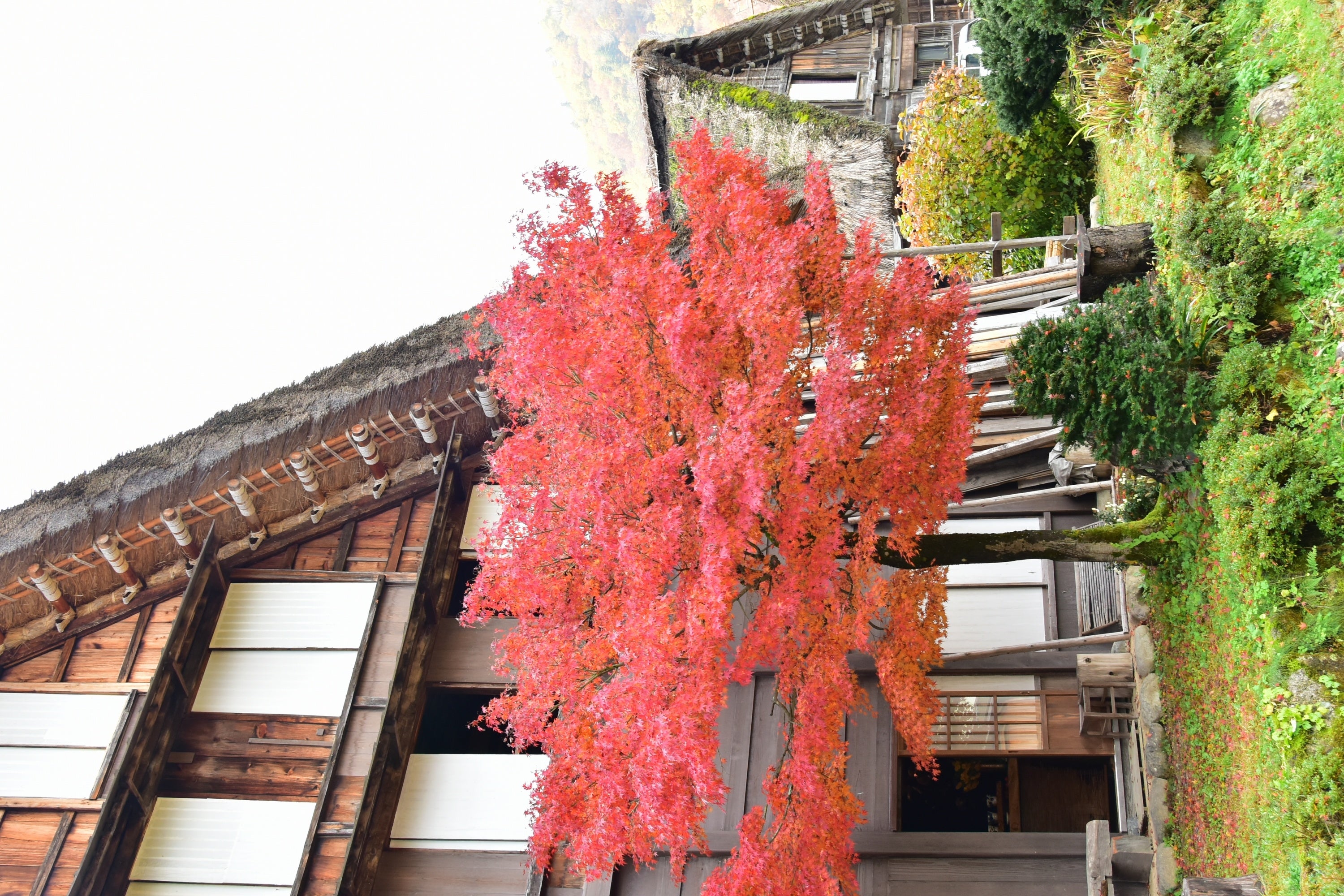 白川郷　荻町　紅葉