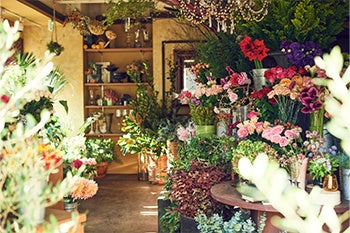 株式会社リベルテ 株式会社野の花司の株式取得 子会社化 に関する最終契約書締結に関するお知らせ 株式会社リベルテのプレスリリース 株式会社リベルテ 株式会社野の花司の株式取得 子会社化 に関する最終契約書締結に関するお知らせ 株式会社リベルテのプレスリリース