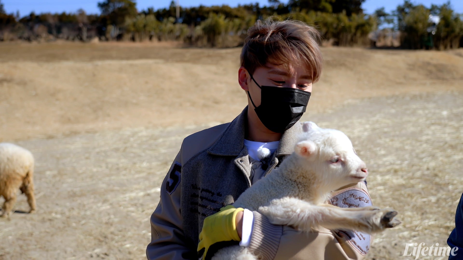 © 2022, Lifetime Korea, LLC. All rights reserved.