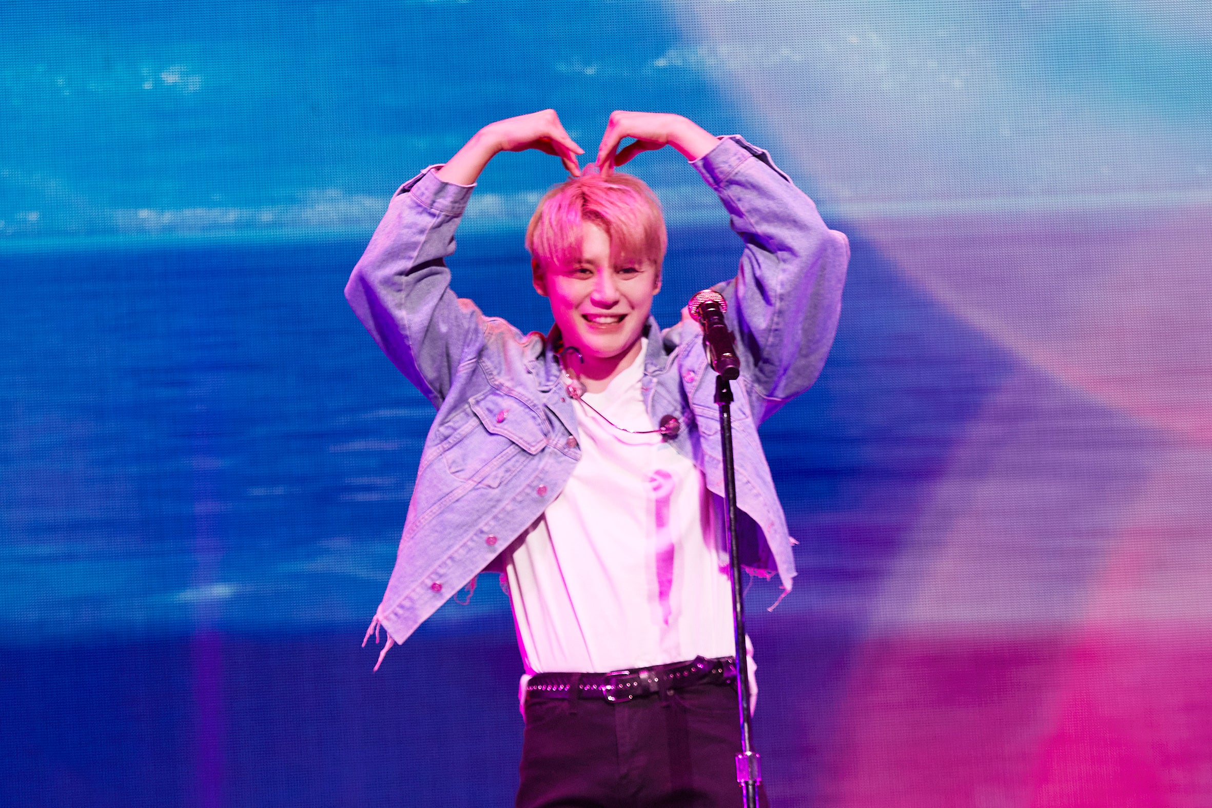 © 2022 PALMTREE ISLAND Co., Ltd. All rights reserved