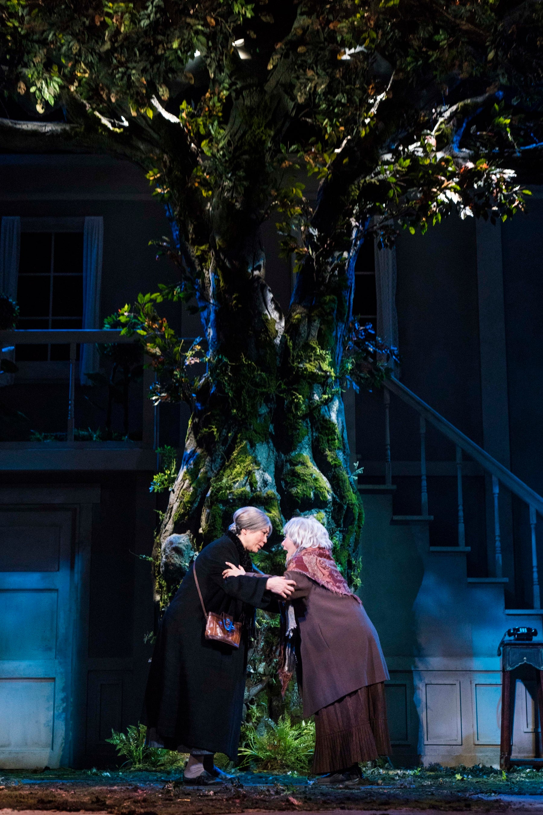 ナイロン100℃ 45th SESSION「百年の秘密」️引地信彦　©️シリーウォーク　キューブ