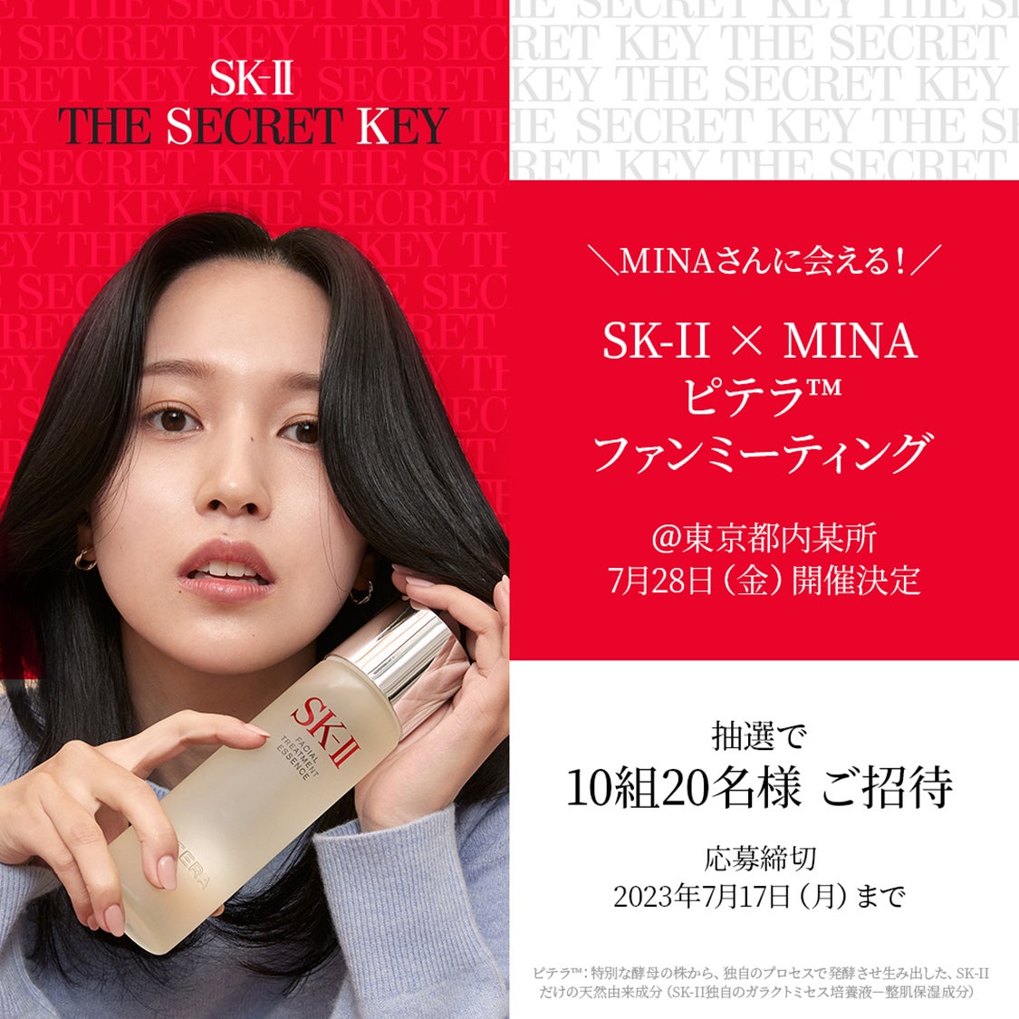 ミナ様専用 (mina様専用ページ (ミナペルホネンハンドメイド ミナ様専用 (mina様専用ページ (ミナペルホネンハンドメイド