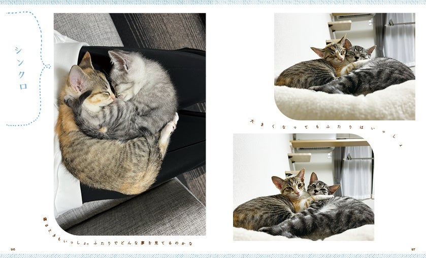 かわいい以外の言葉が見当たらない、二匹の様子