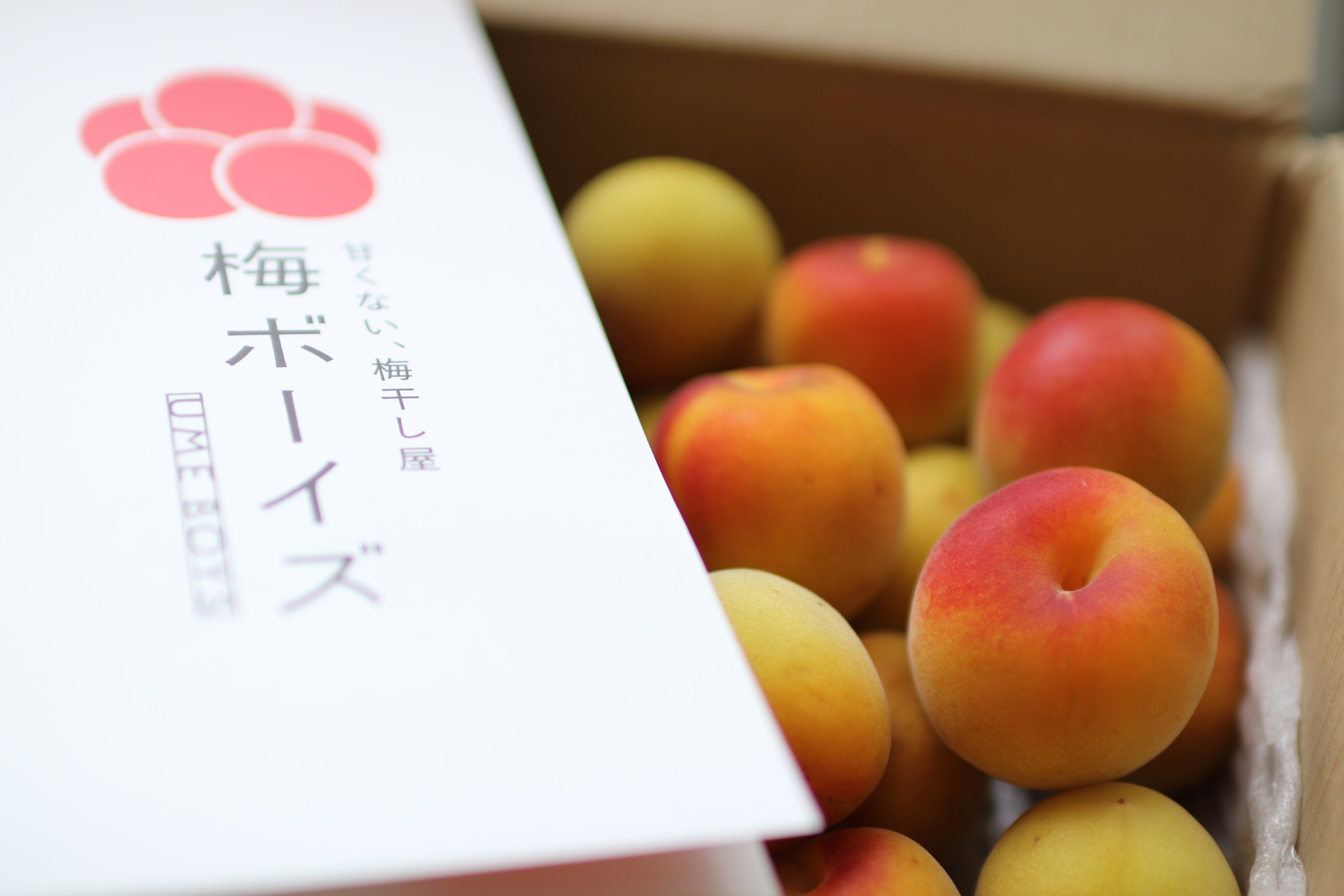 マカロン様の専用商品です　　樹成り中熟~完熟　白加賀梅　15kg　青梅 終了 jk-ume-gj-3k.jpg