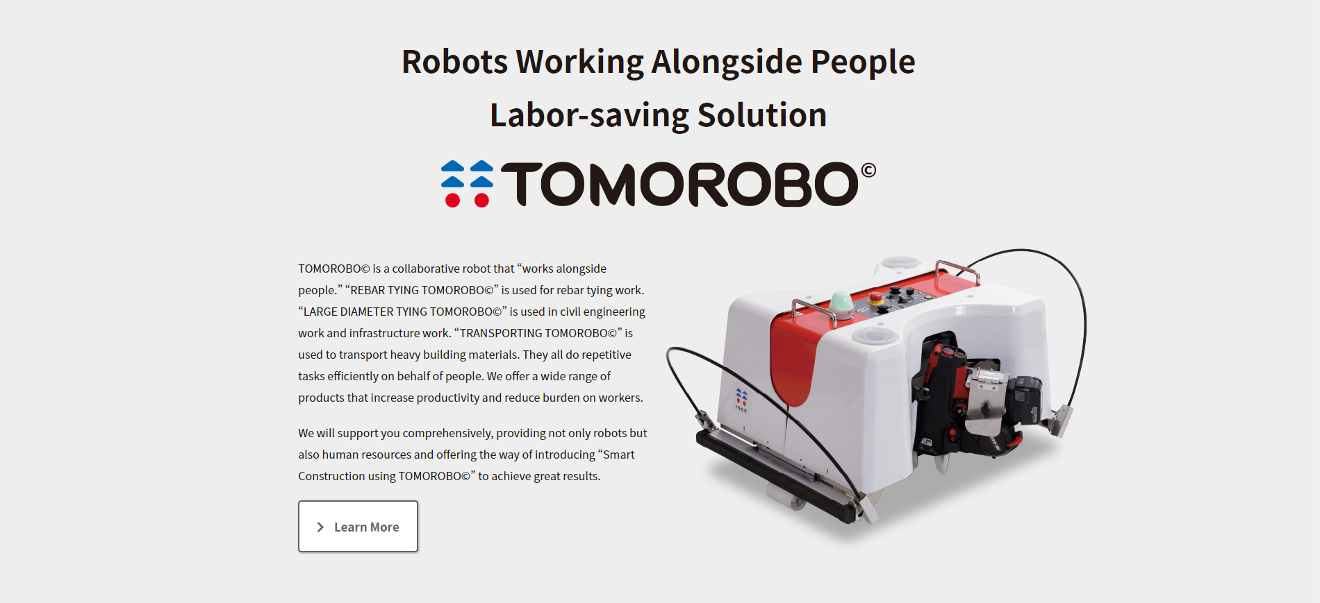 (英語表記のトモロボページ)